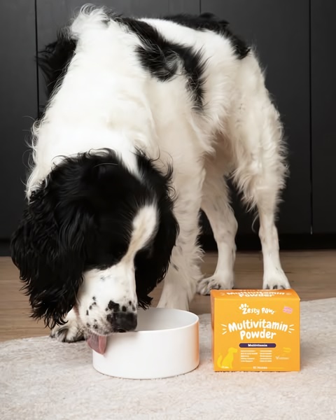A direct, high-contrast creative showing a dog consuming a product while the supplement packaging sits clearly in the foreground.